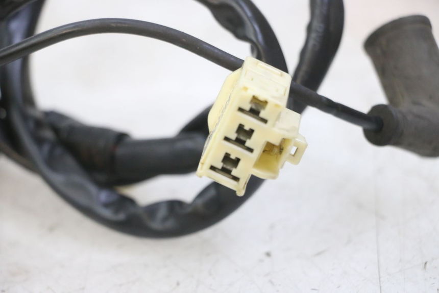 photo de STATOR PIAGGIO MP3 LT 300 (2010 - 2016) - Estado de la superficie y material