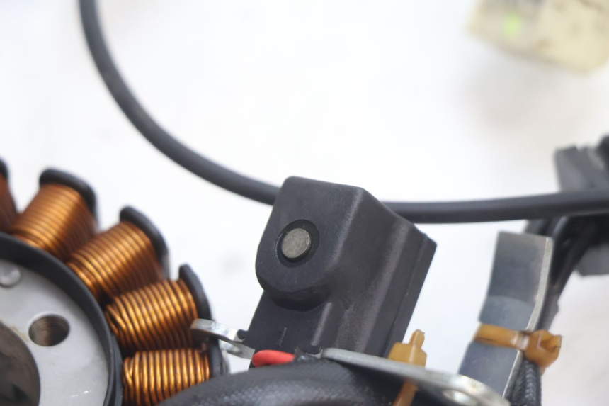 photo de STATOR PIAGGIO MP3 LT 300 (2010 - 2016) - Zoom estado de uso