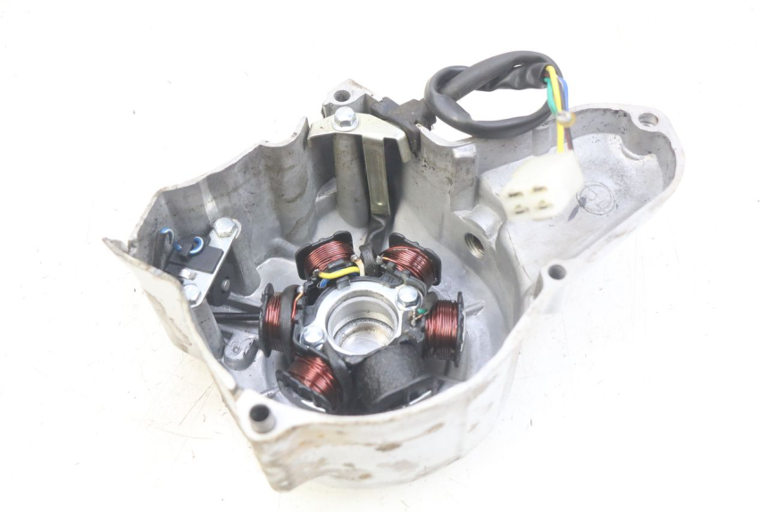 photo de ESTATOR PANTHERA PANTHERA 110 (2010 - 2017) - Detalles de los puntos de fijación