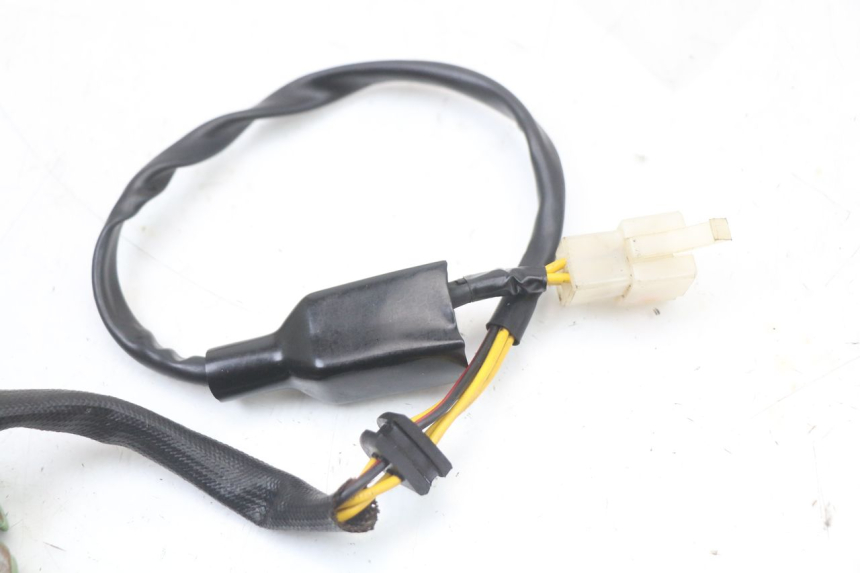 photo de ESTATOR REGAL RAPTOR RAXTER 2 125 (2007 - 2015) - Vista general del producto