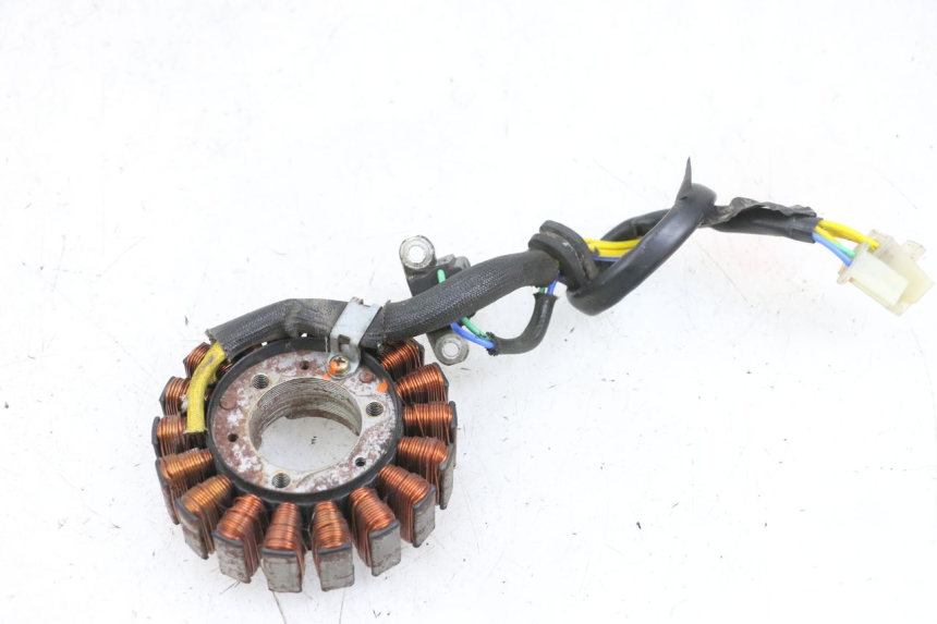 photo de STATOR DAELIM S1 125 (2007 - 2016) - Detalle de la pieza