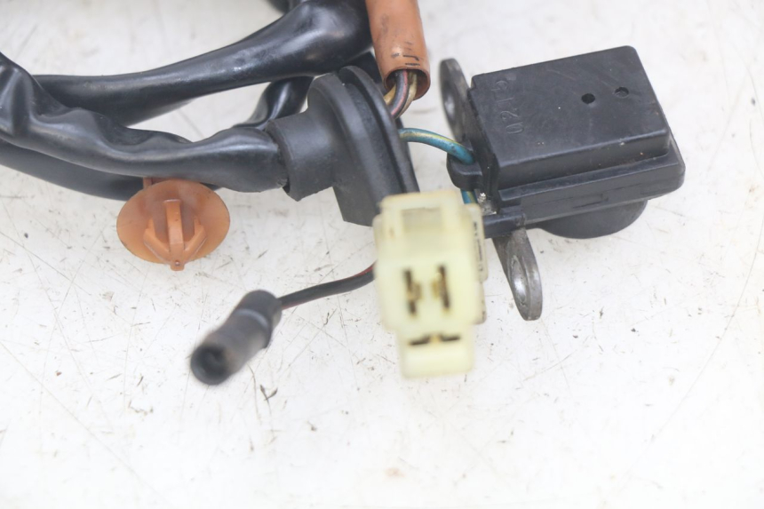 photo de ESTATOR PEUGEOT SPEEDFIGHT LC 50 (1996 - 2002) - Primer plano técnico