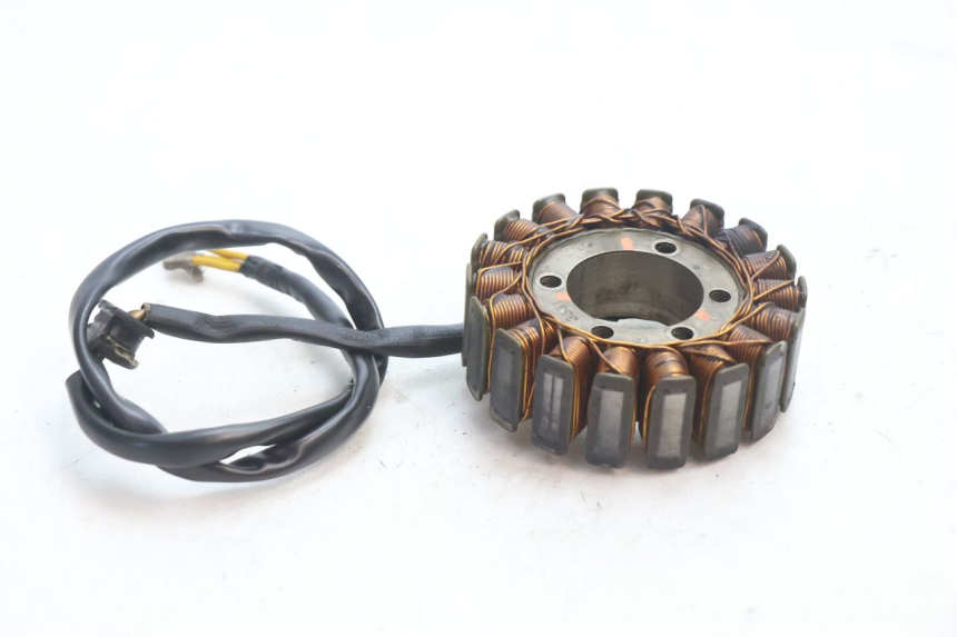 photo de STATOR DUCATI SS IE DS CARENEE 1000 (2002 - 2006) - Detalle de la pieza