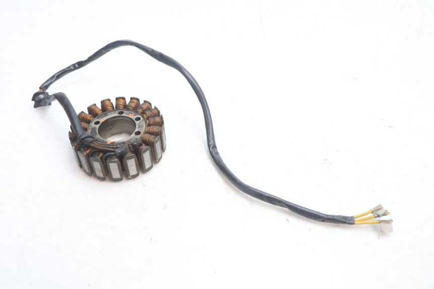 photo de STATOR DUCATI SS IE DS CARENEE 1000 (2002 - 2006) - Zoom estado de uso