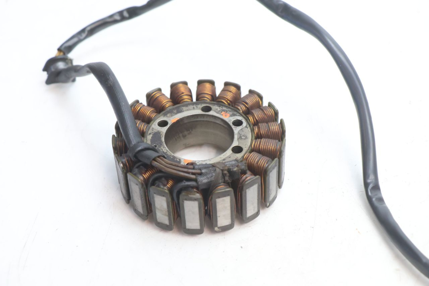 photo de STATOR DUCATI SS IE DS CARENEE 1000 (2002 - 2006) - Otra perspectiva