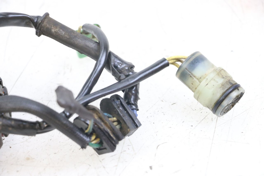 photo de ESTATOR HONDA TRX 300 (1988 - 2000) - Detalle de la pieza