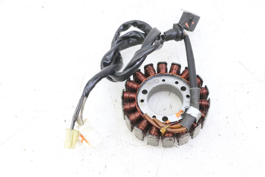 photo de STATOR YAMAHA FZS FAZER 600 (2001 - 2003) - Vista principal