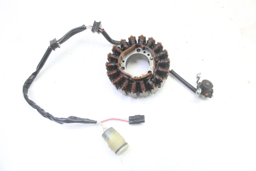 photo de STATOR YAMAHA YFM R RAPTOR 250 (2008 - 2014) - Vista principal