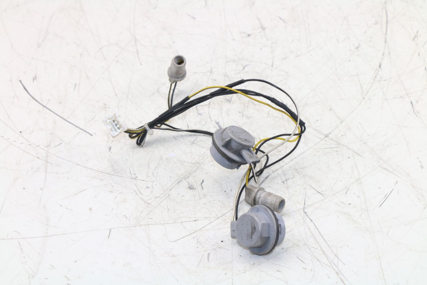 photo de PORTALAMPARAS PIAGGIO XEVO - X EVO 125 (2007 - 2017) - Detalle de la pieza