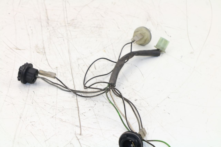 photo de PORTALAMPARAS SUZUKI UH BURGMAN 125 (2002 - 2006) - Detalle de la pieza