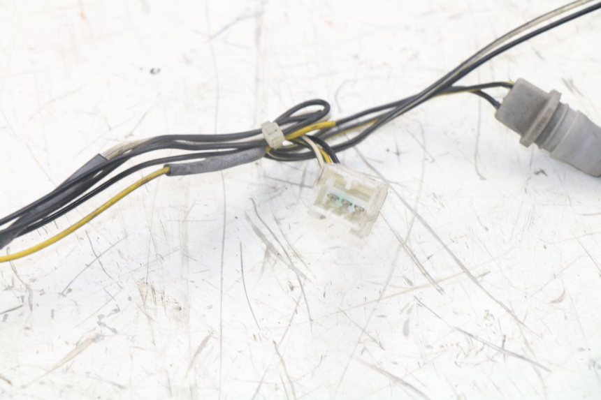 photo de PORTALAMPARAS PIAGGIO XEVO - X EVO 125 (2007 - 2017) - Detalle de la pieza