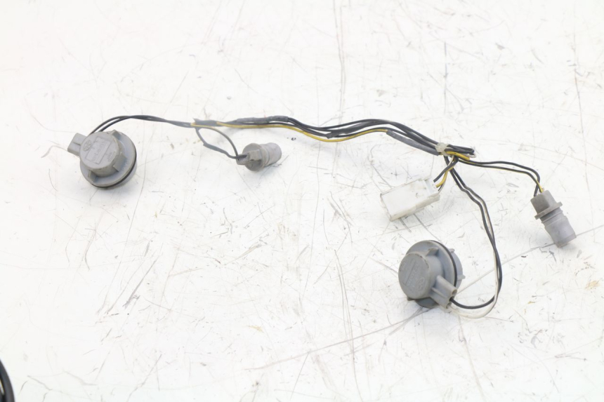 photo de PORTALAMPARAS PIAGGIO XEVO - X EVO 125 (2007 - 2017) - Primer plano técnico