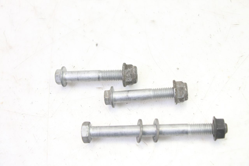 photo de SOPORTE MOTOR APRILIA ETX 125 (1998 - 2002) - Primer plano técnico