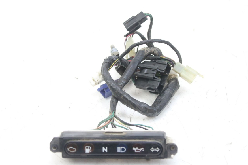 photo de PANEL DE INSTRUMENTOS TRIUMPH SPRINT ST 955 (1999 - 2001) - Detalle de la pieza