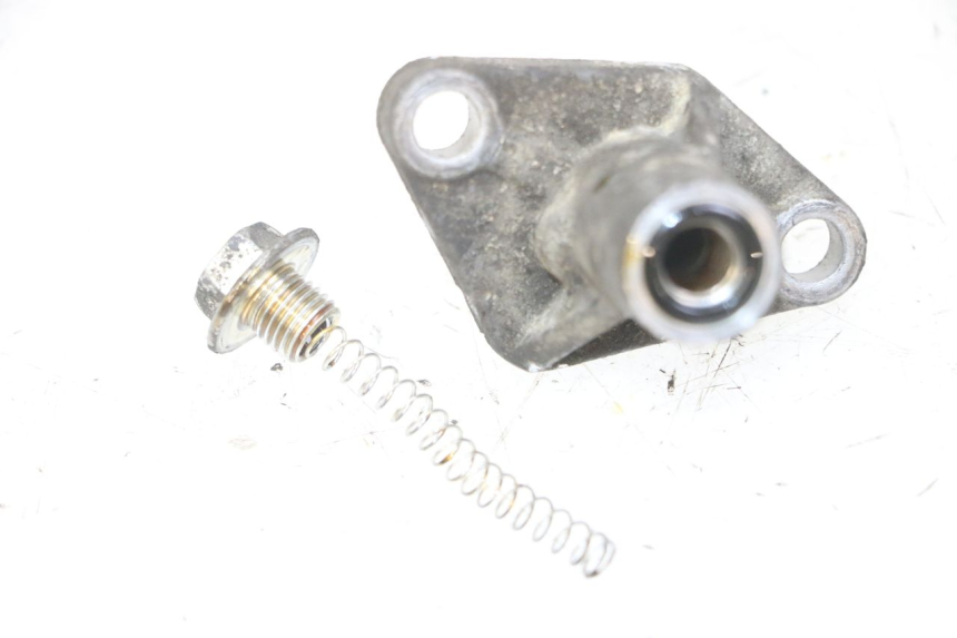 photo de TENSOR CADENA DISTRIBUCION PIAGGIO MP3 LT 300 (2010 - 2016) - Otra perspectiva