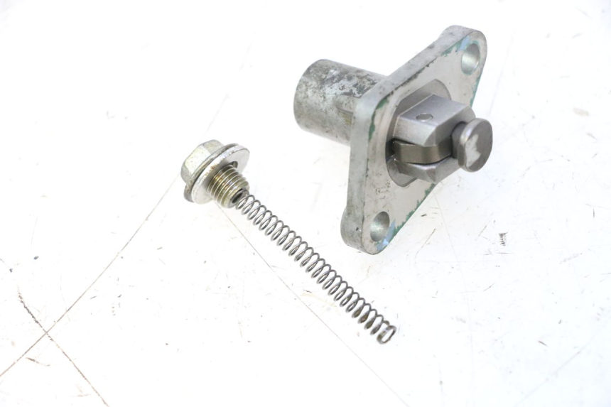 photo de TENSOR DE CADENA DE DISTRIBUCIÓN PIAGGIO X9 EVOLUTION 125 (2003 - 2007) - Detalle de la pieza