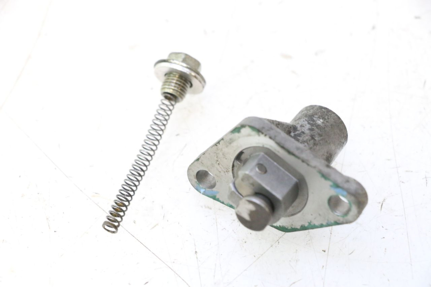 photo de TENSOR DE CADENA DE DISTRIBUCIÓN PIAGGIO X9 EVOLUTION 125 (2003 - 2007) - Zoom estado de uso