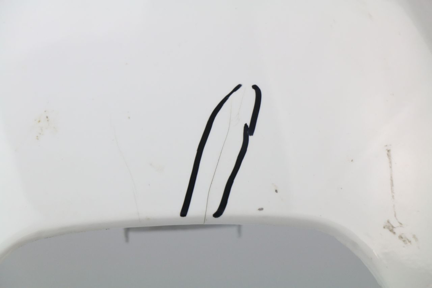 photo de CARENADO FRONTAL HONDA CBR 929 RR FIREBLADE 900 (2000 - 2001) - Primer plano técnico