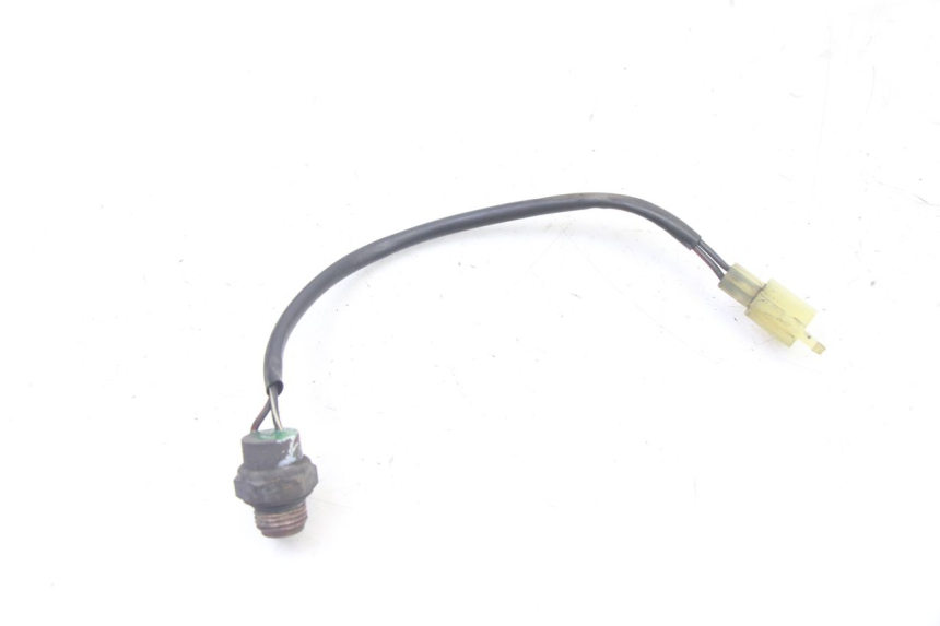 photo de THERMOCONTACT SUZUKI BURGMAN 125 (2007 - 2014) - Vista principal