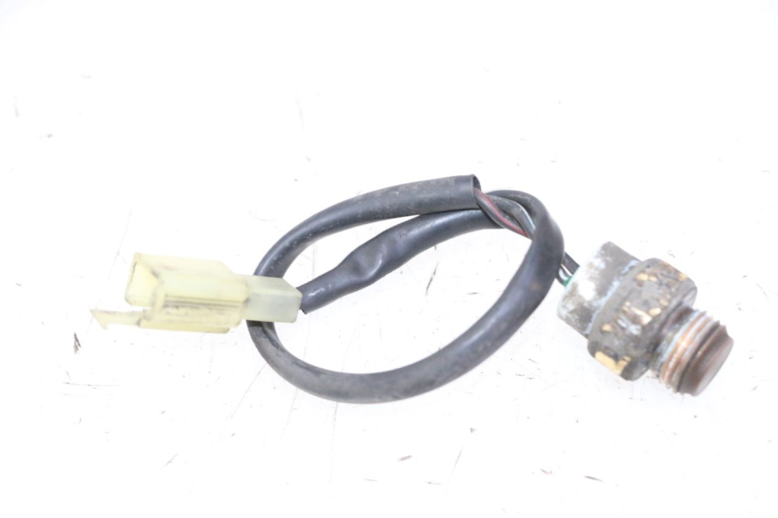 photo de THERMOCONTACT SUZUKI BURGMAN 125 (2007 - 2014) - Vista principal