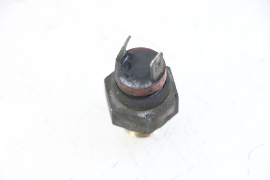 photo de TERMOCONTACTO PIAGGIO X8 125 (2004 - 2007) - Zoom estado de uso