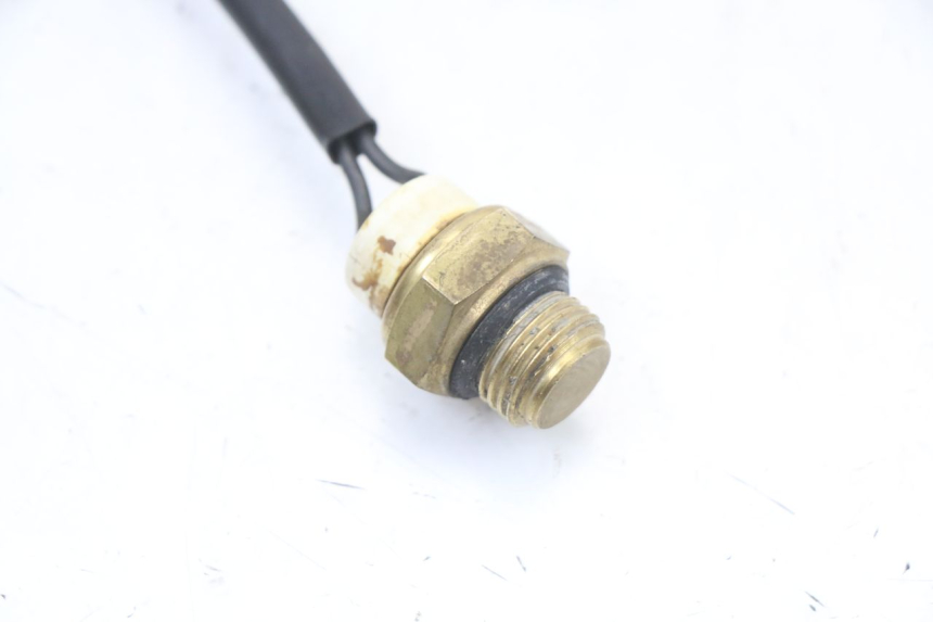 photo de TERMOCONTACTO REGAL RAPTOR RAXTER 2 125 (2007 - 2015) - Detalle de la pieza