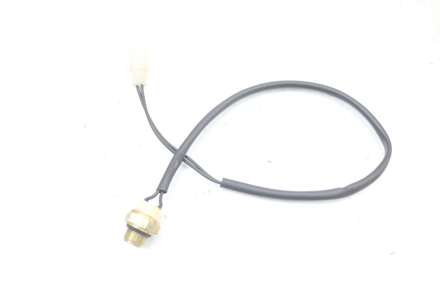 photo de TERMOCONTACTO REGAL RAPTOR SPYDER 125 (2010 - 2018) - Vista principal