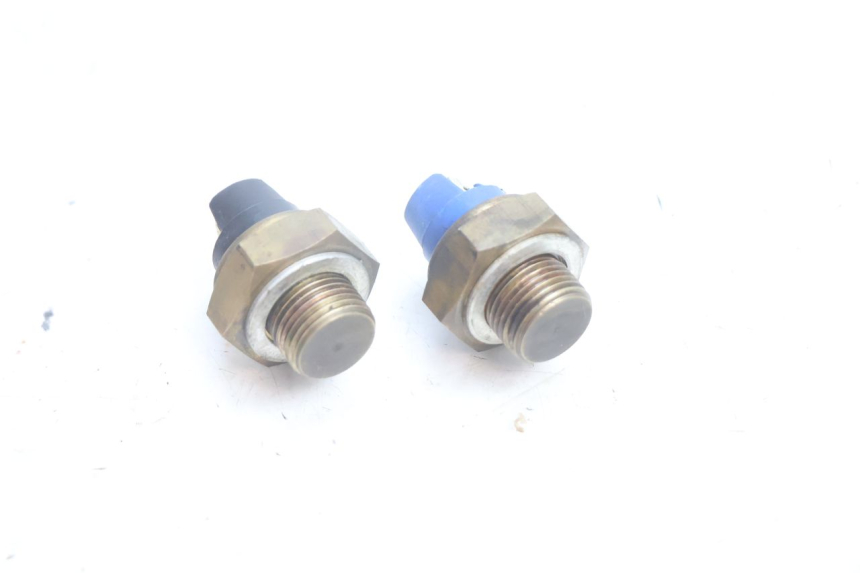photo de TERMOSTATO YAMAHA YP MAJESTY 125 (2002 - 2006) - Zoom estado de uso