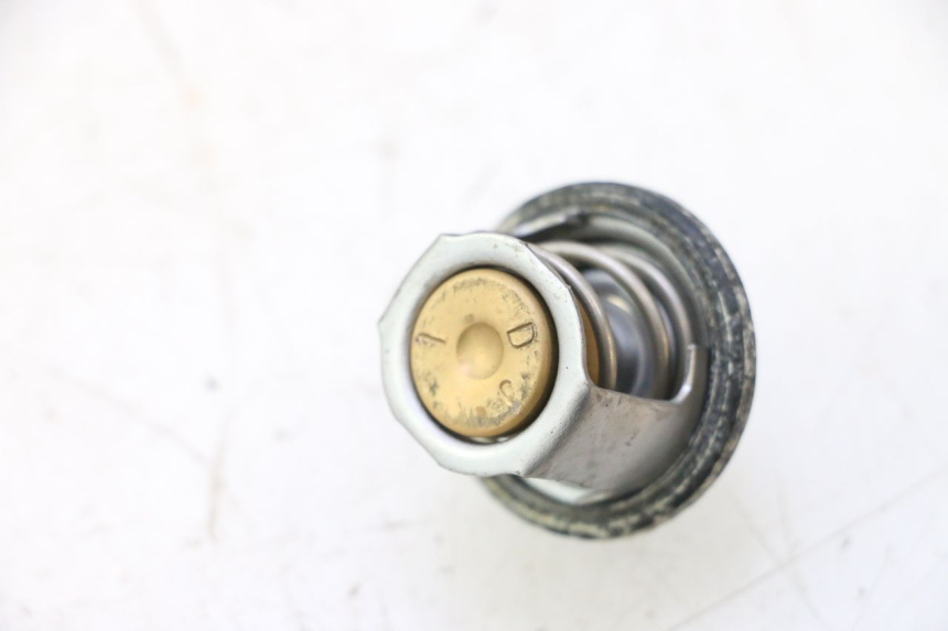 photo de TERMOSTATO SUZUKI BURGMAN 125 (2007 - 2014) - Zoom estado de uso