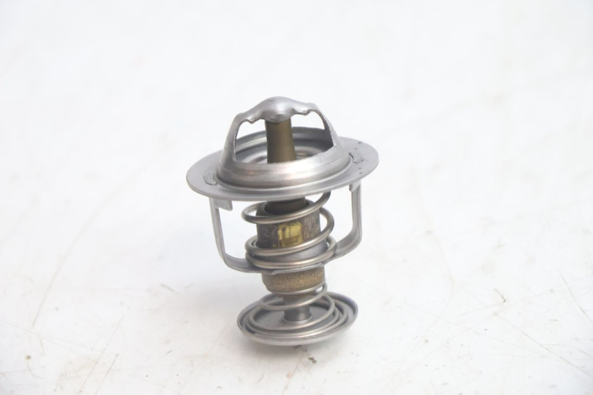 photo de TERMOSTATO  HONDA FJS SILVER WING SILVERWING 400 (2005 - 2008) - Zoom estado de uso