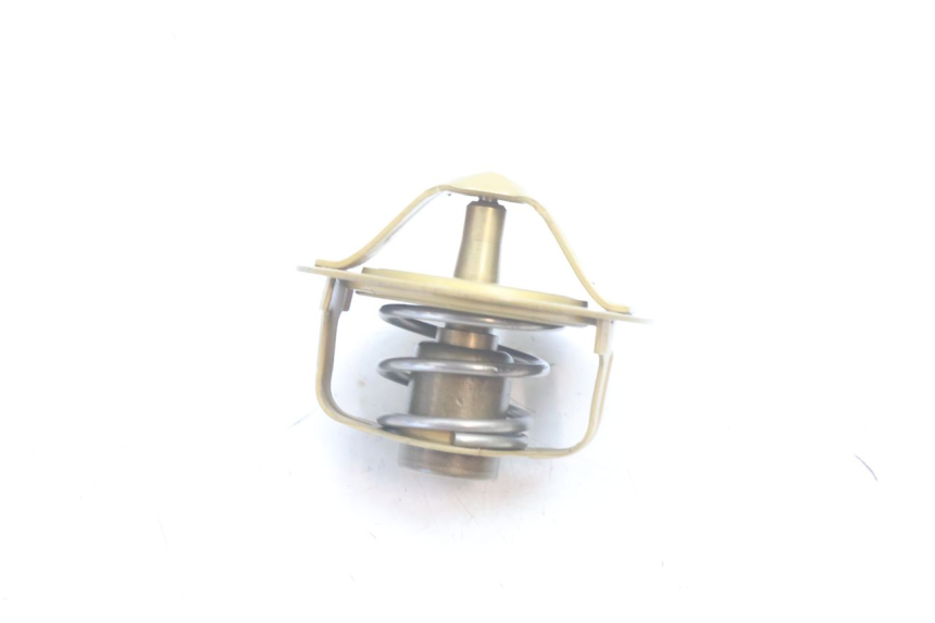 photo de TERMOSTATO  YAMAHA FZ8 800 (2010 - 2016) - Primer plano técnico