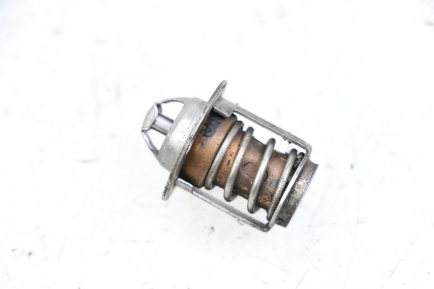 photo de TERMOSTATO  NECO GPX LC 2T 50 (2014 - 2018) - Zoom estado de uso