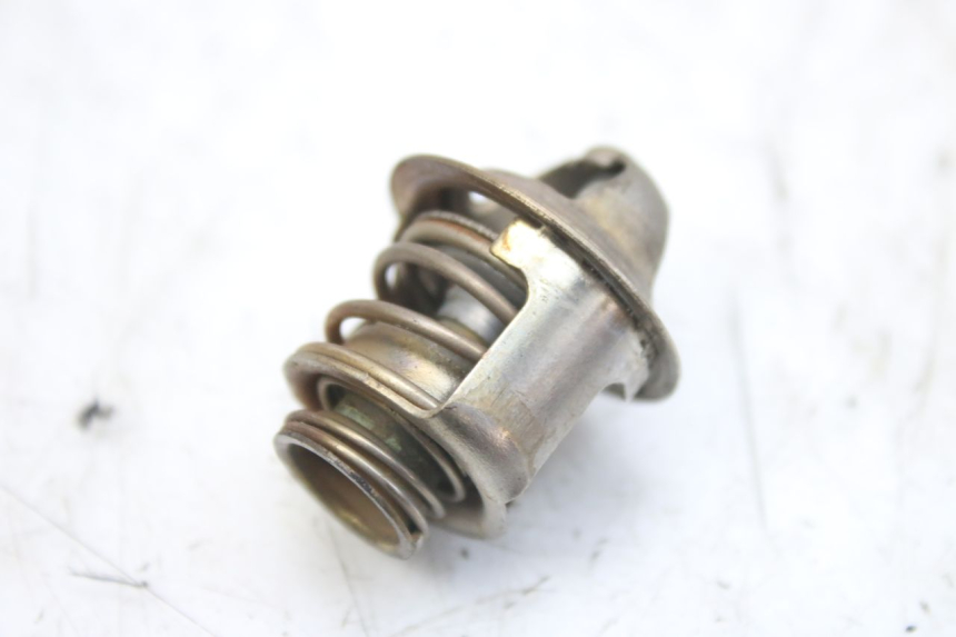 photo de TERMOSTATO PIAGGIO MP3 RL 250 (2006 - 2010) - Vista principal