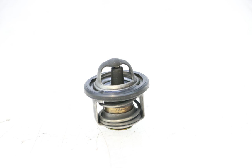 photo de TERMOSTATO  PIAGGIO MP3 125 (2006 - 2014) - Vista principal