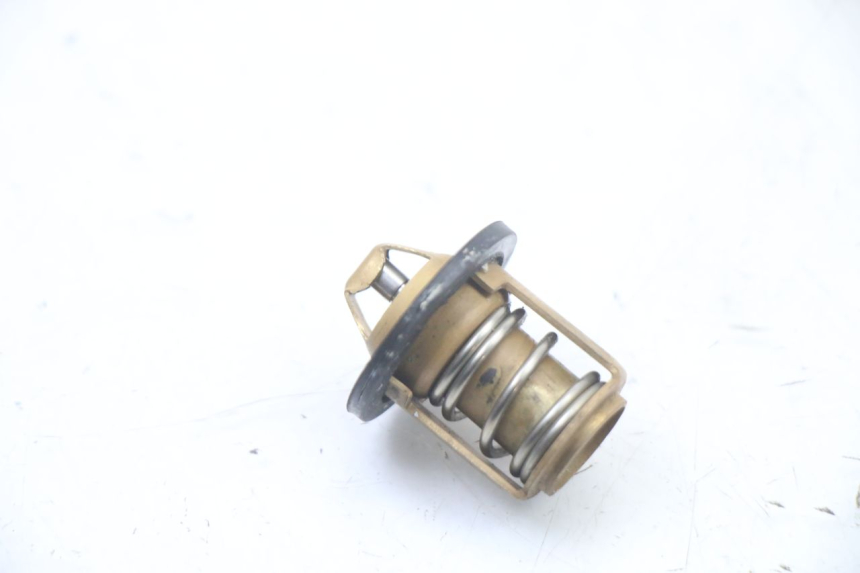 photo de TERMOSTATO  PEUGEOT SPEEDFIGHT 3 LC 2T 50 (2009 - 2015) - Vista principal