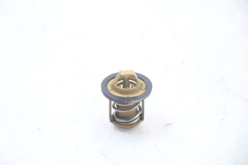 photo de TERMOSTATO  PEUGEOT SPEEDFIGHT 3 LC 2T 50 (2009 - 2015) - Zoom estado de uso