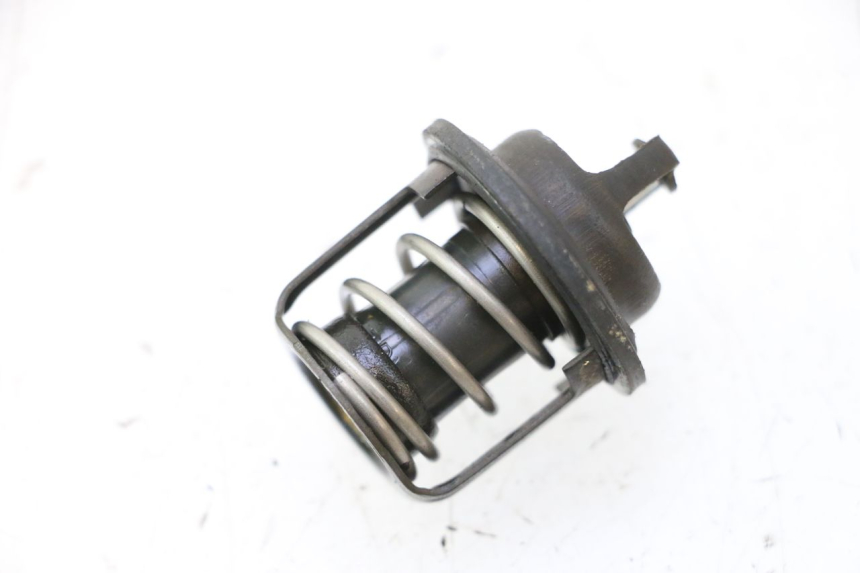 photo de TERMOSTATO PEUGEOT SATELIS 125 (2006 - 2009) - Vista principal