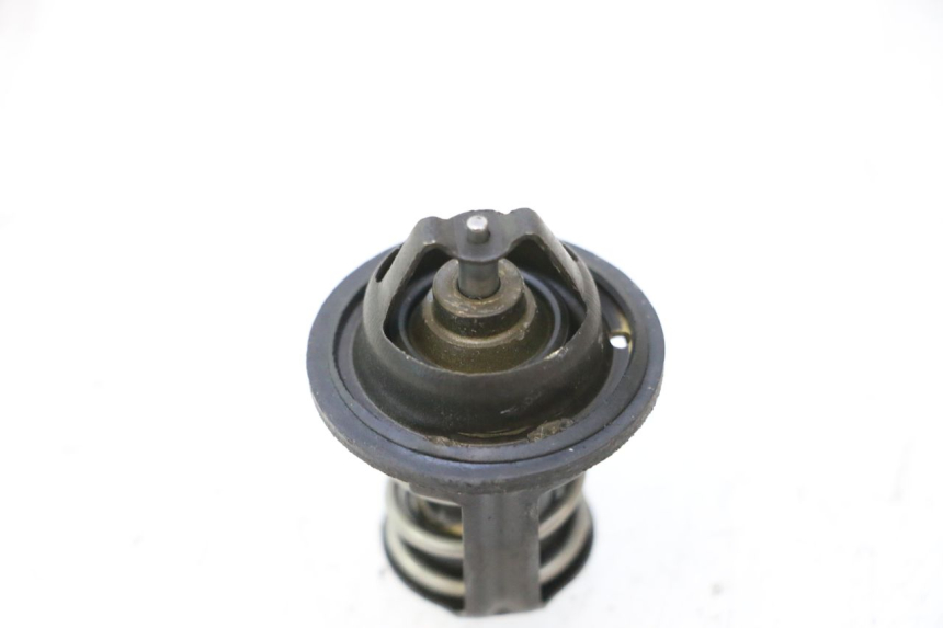photo de TERMOSTATO PEUGEOT SATELIS 125 (2006 - 2009) - Zoom estado de uso