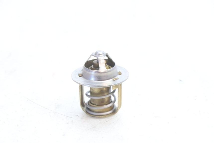 photo de TERMOSTATO  HUSABERG TE 250 (2011 - 2014) - Vista principal