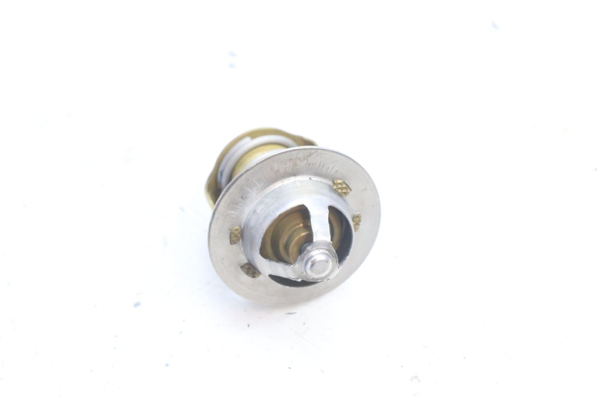 photo de TERMOSTATO  HUSABERG TE 250 (2011 - 2014) - Zoom estado de uso