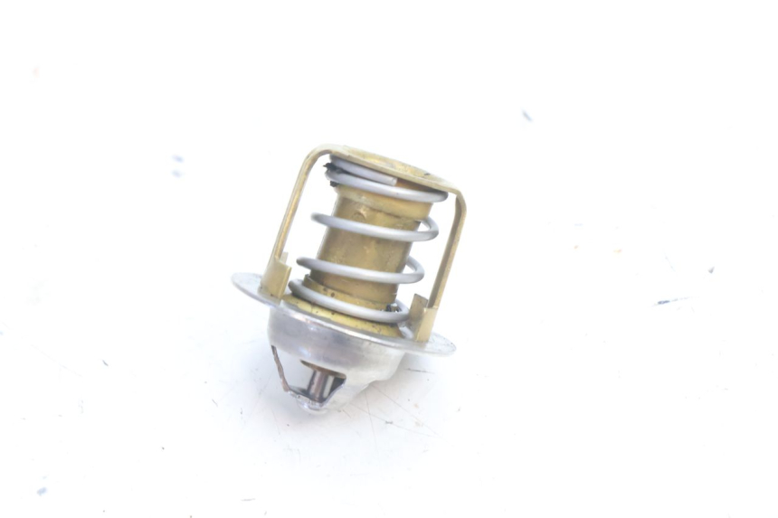 photo de TERMOSTATO  HUSABERG TE 250 (2011 - 2014) - Otra perspectiva