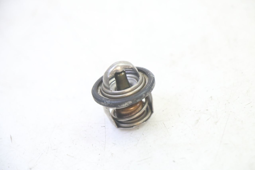 photo de TERMOSTATO  YAMAHA X-MAX XMAX 125 (2010 - 2013) - Vista principal