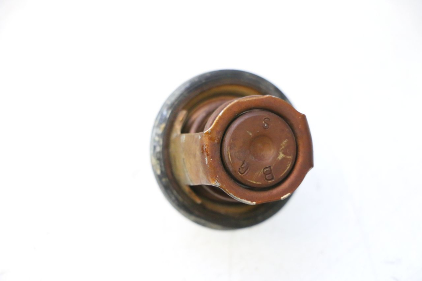 photo de TERMOSTATO  YAMAHA XMAX X-MAX 125 (2006 - 2009) - Zoom estado de uso