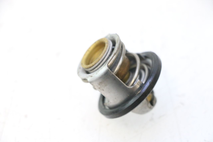 photo de TERMOSTATO  PIAGGIO X9 EVOLUTION 125 (2003 - 2007) - Zoom estado de uso