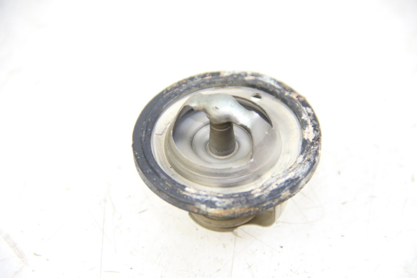 photo de TERMOSTATO  YAMAHA XP T-MAX TMAX 500 (2004 - 2007) - Zoom estado de uso