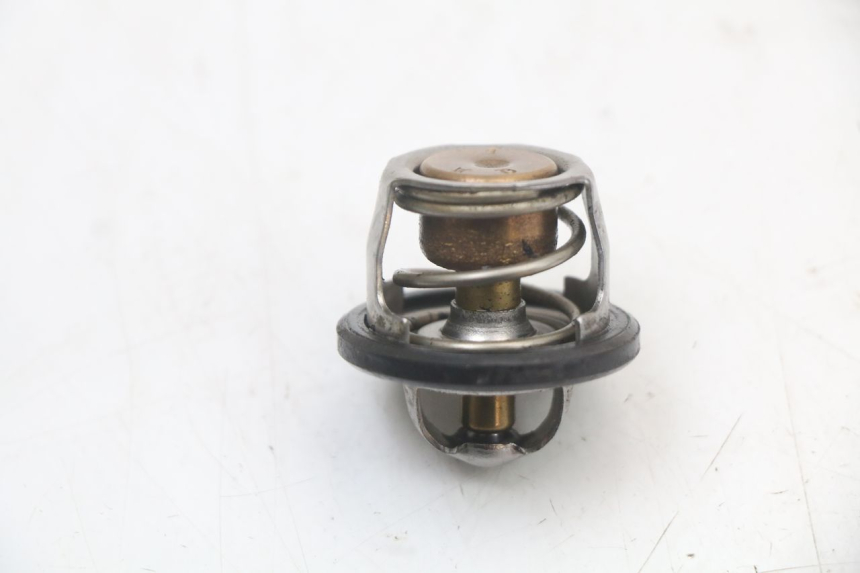 photo de TERMOSTATO  YAMAHA YP MAJESTY 125 (2002 - 2006) - Zoom estado de uso