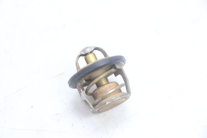 photo de TERMOSTATO  YAMAHA YP MAJESTY 125 (2002 - 2006) - Vista principal