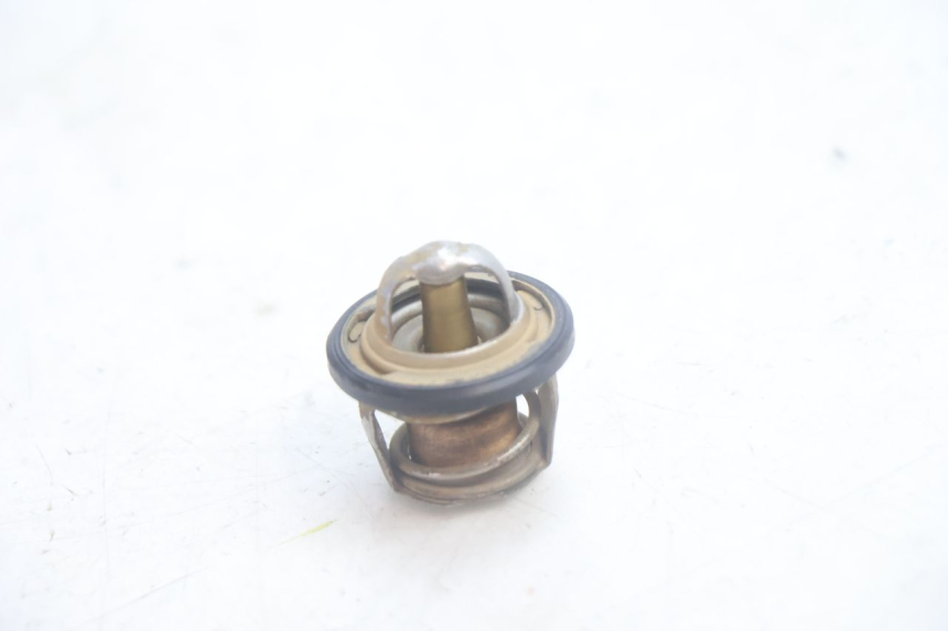 photo de TERMOSTATO  YAMAHA YP MAJESTY 125 (2002 - 2006) - Detalle de la pieza