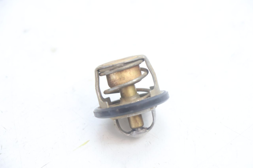 photo de TERMOSTATO  YAMAHA YP MAJESTY 125 (2002 - 2006) - Zoom estado de uso