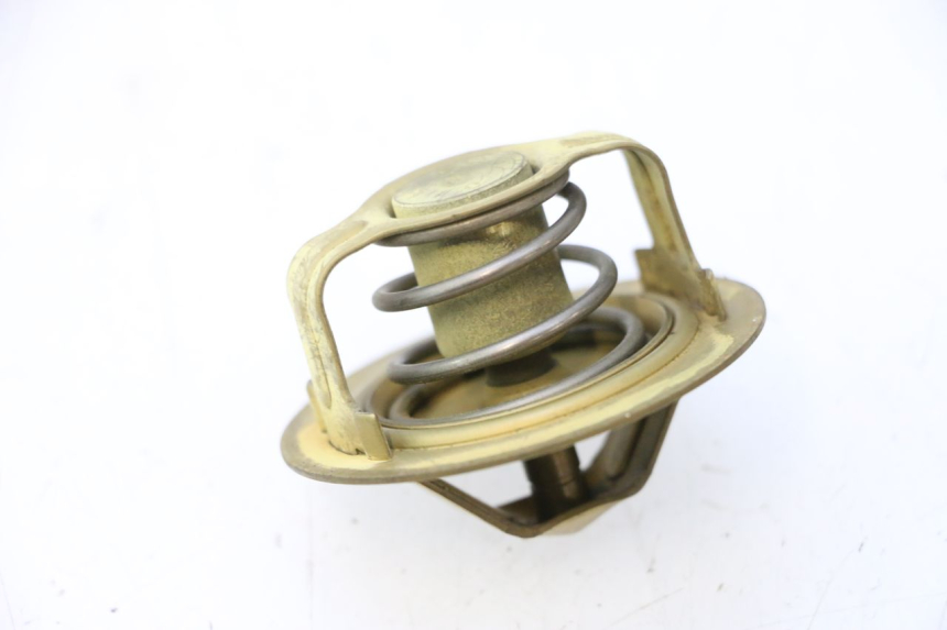 photo de TERMOSTATO  KAWASAKI ZX-6R ZX6R 600 (2000 - 2002) - Detalle de la pieza
